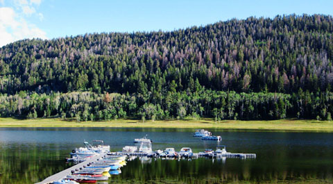 Dock Picture at Navajo Lake Lodge